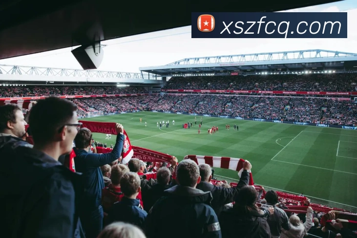 K1体育服务体系