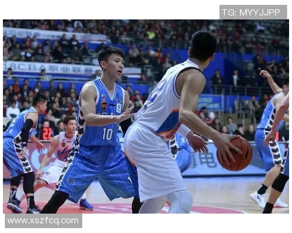 张兆旭：从篮球新星到职业生涯的辉煌转折与未来展望